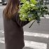 Авторський букет "Весяний хлорофіл" в кольорі greenary без упаквання_1